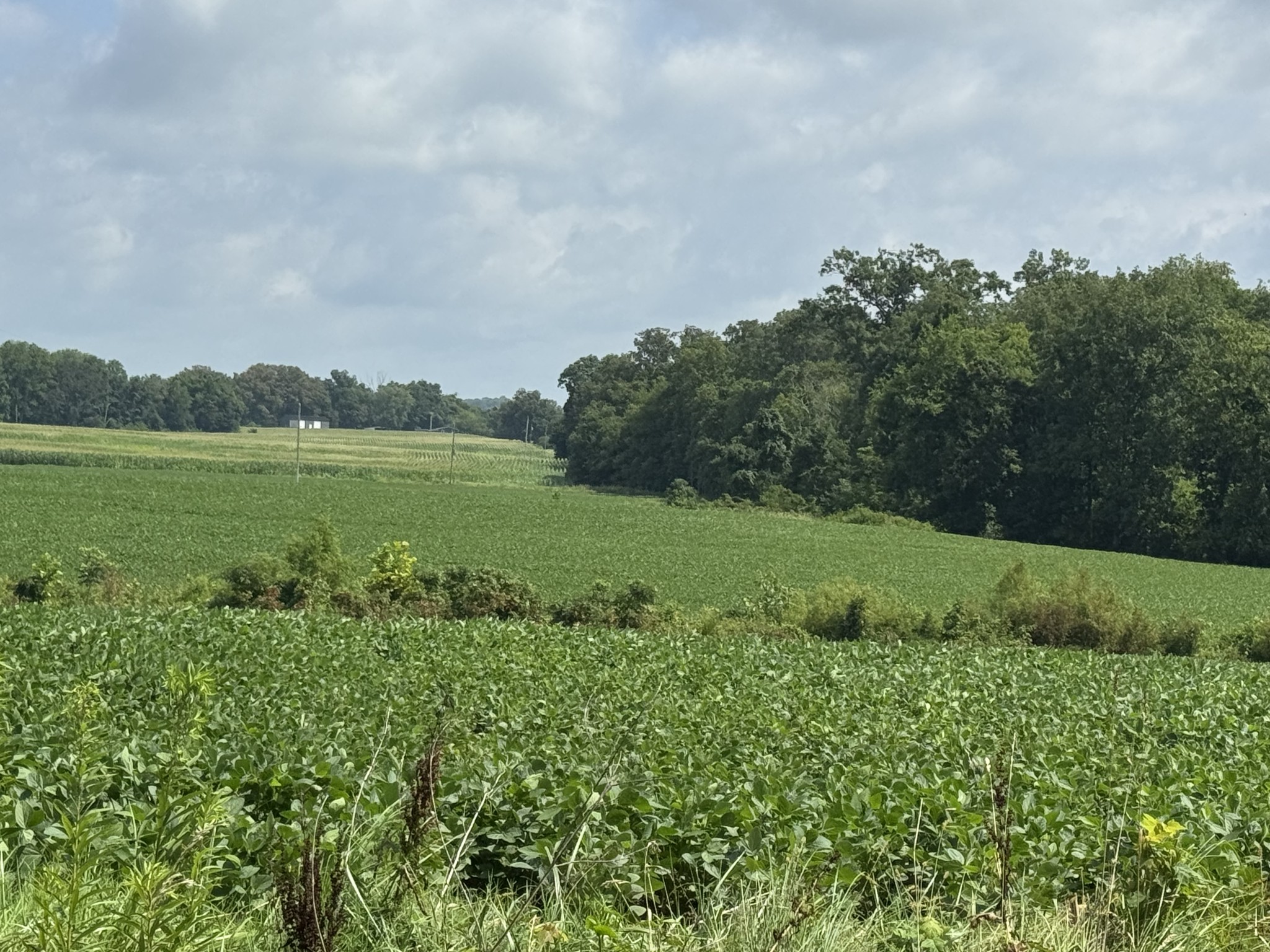 0 Zander Road Hopkinsville, KY 42240 - Photo 4 of 7