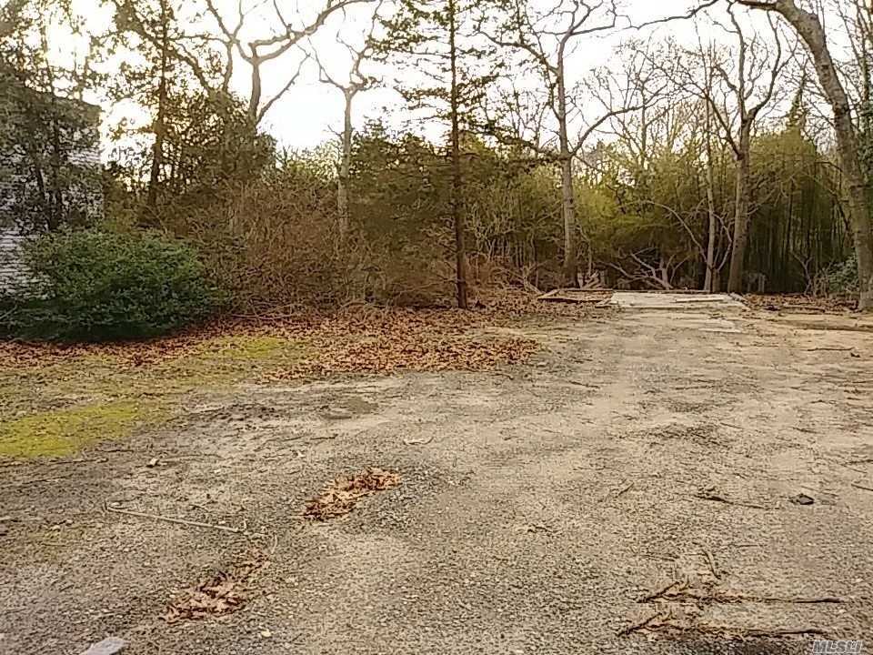 37 Wakeman Road Hampton Bays, NY 11946 - Photo 1 of 1 a view of a yard with a tree
