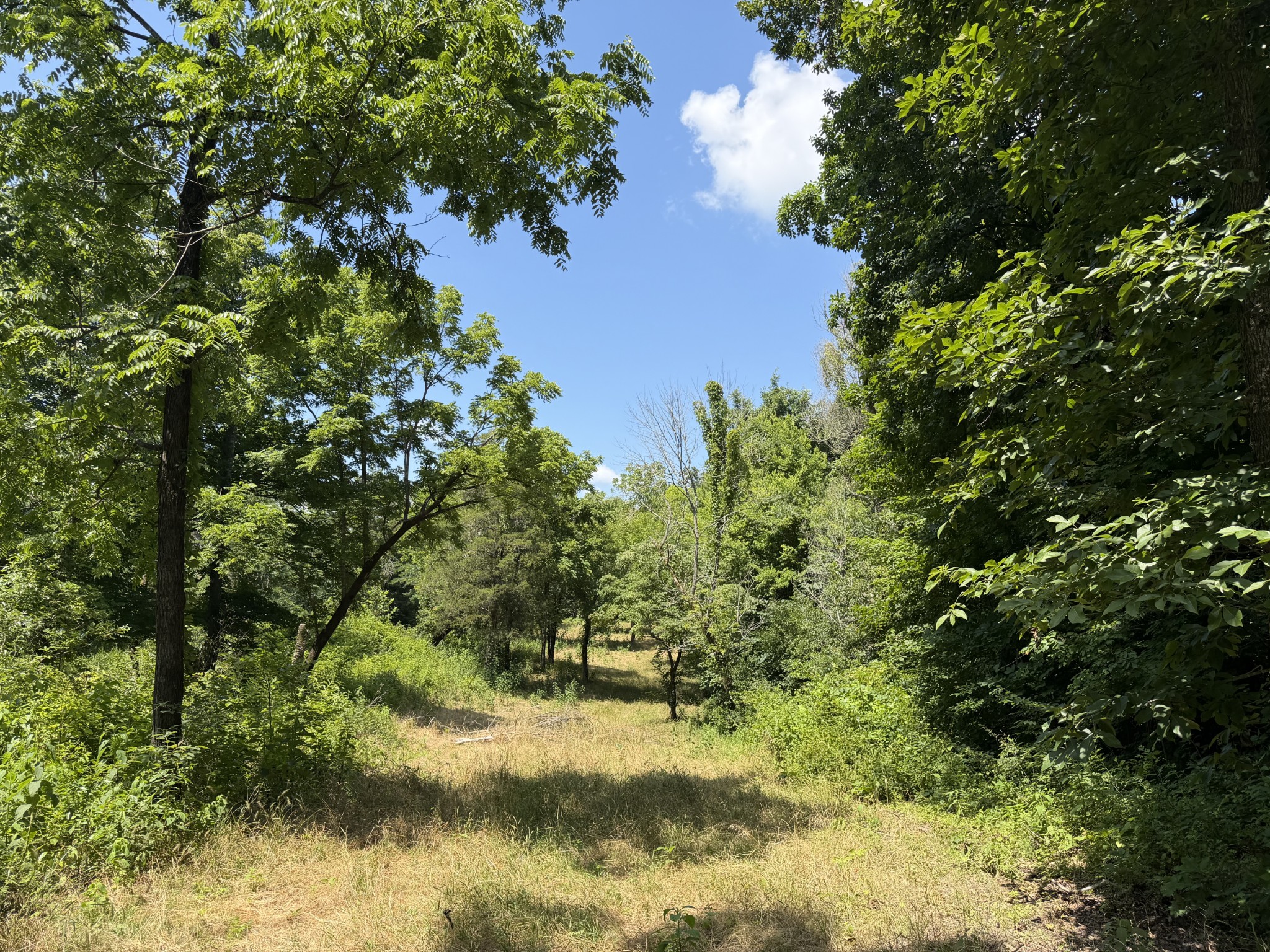 0 Winchester Highway Kelso, TN 37348 - Photo 22 of 46