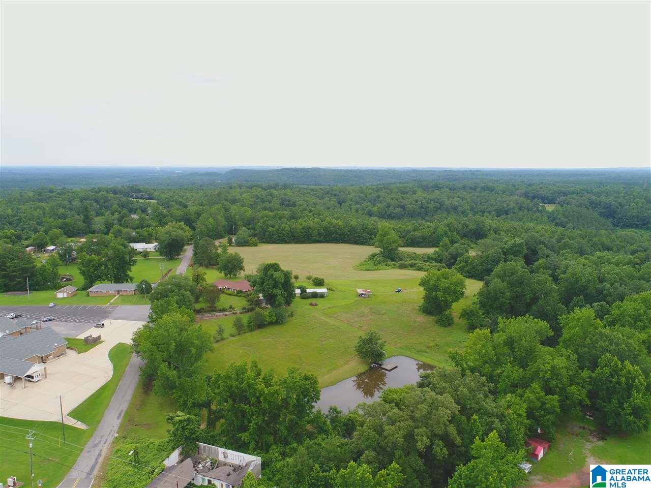 1670 Dutton Hill Road Oakman, AL 35579 - Photo 42 of 44