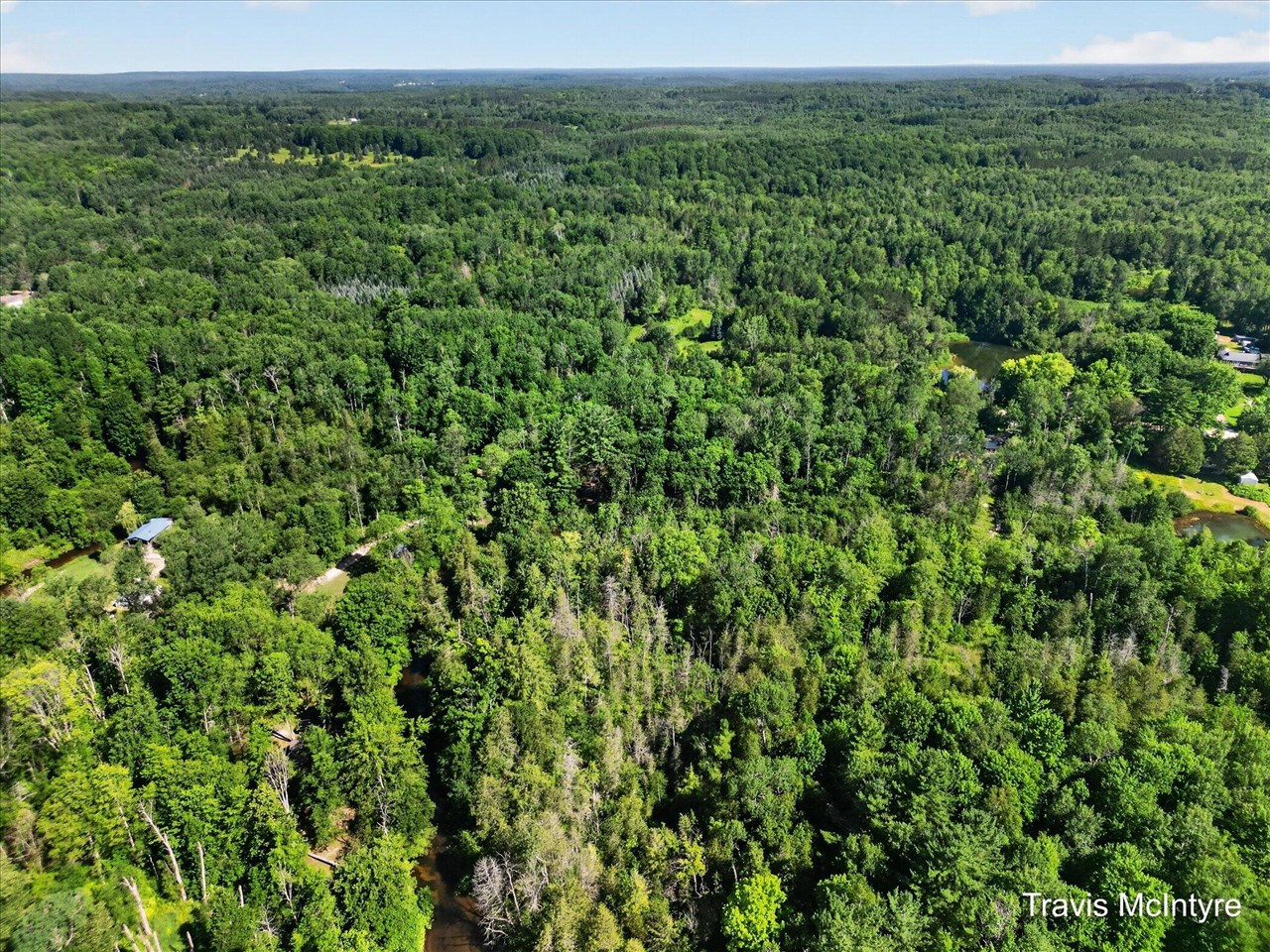 23473 17 Mile Road Leroy, MI 49655 - Photo 25 of 30