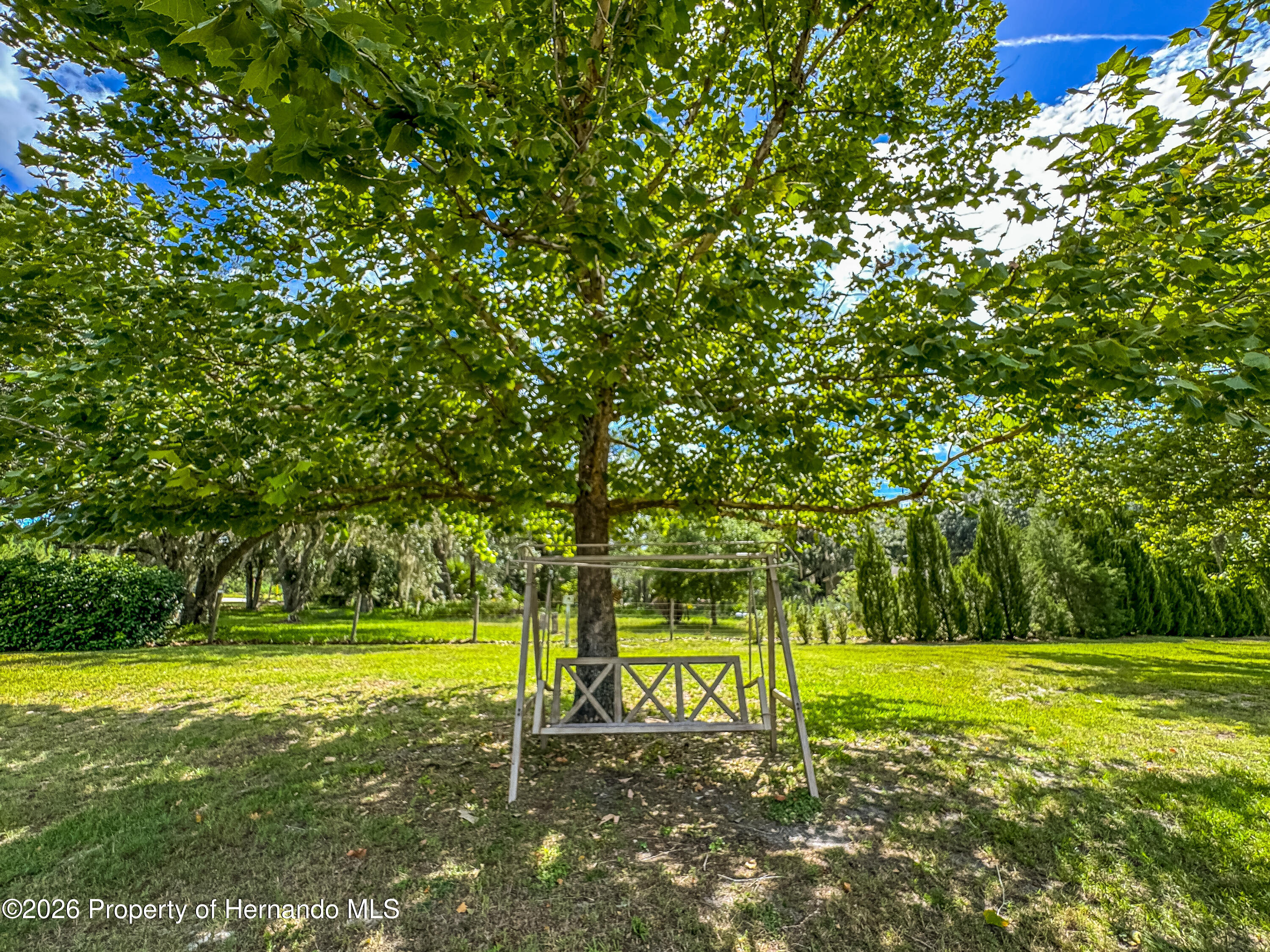 5533 Tower Road Land O' Lakes, FL 34638 - Photo 10 of 62