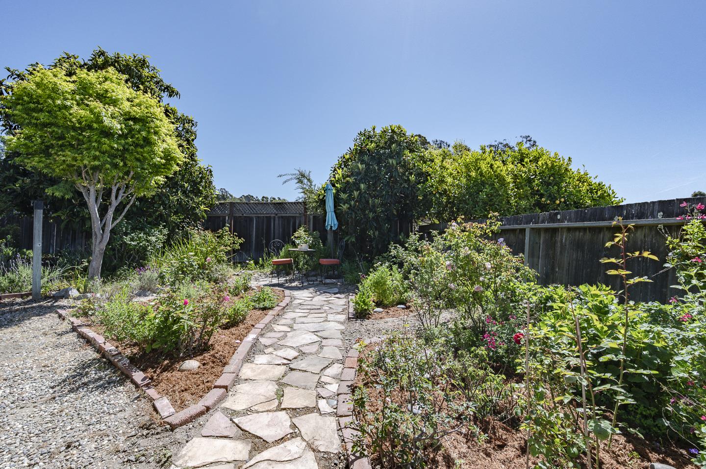 3350 Hardin Way Soquel, CA 95073 - Photo 29 of 45 a backyard with plants and large trees