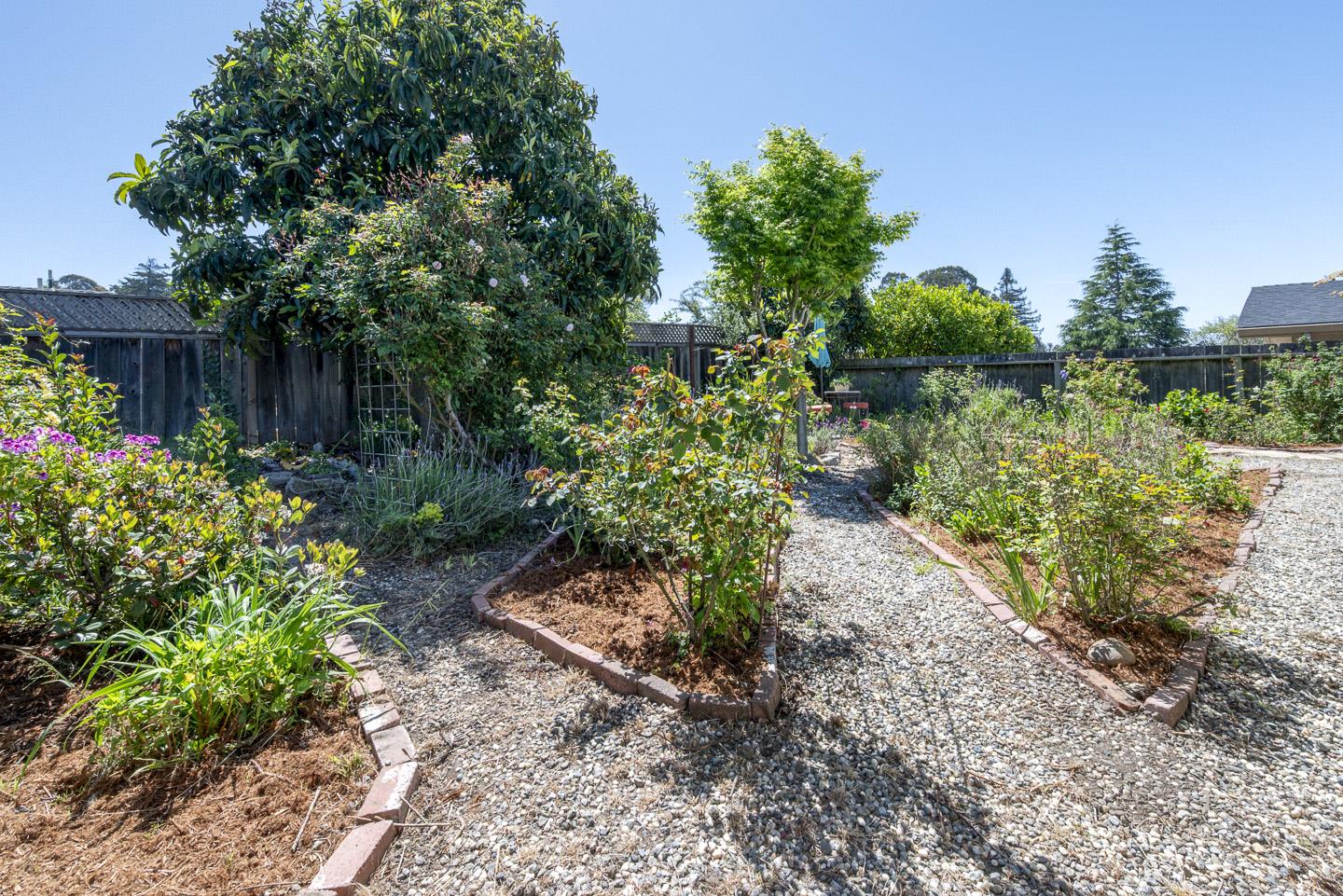 3350 Hardin Way Soquel, CA 95073 - Photo 30 of 45 a view of a garden with plants and large trees
