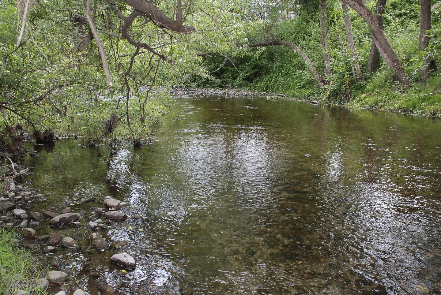 3350 Hardin Way Soquel, CA 95073 - Photo 40 of 45 a view of lake with green space
