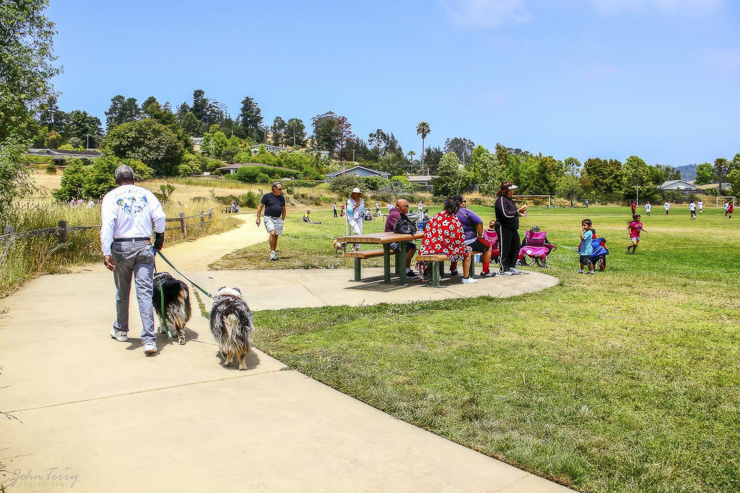 3350 Hardin Way Soquel, CA 95073 - Photo 43 of 45 a view of a outdoor space
