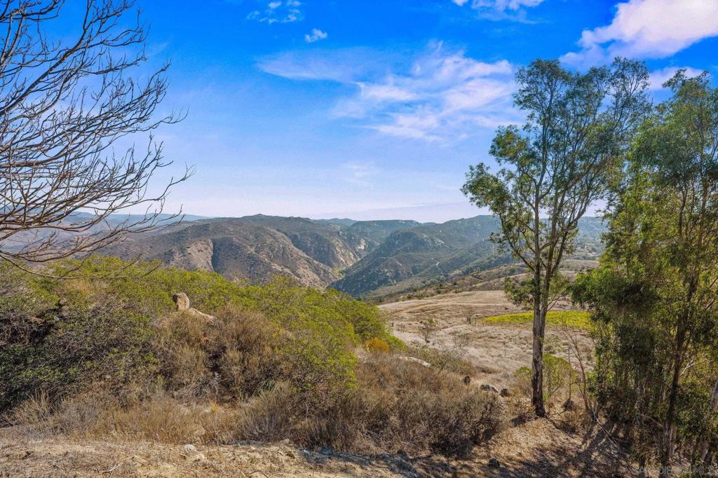 15840 Highland Valley Road Escondido, CA 92025 - Photo 6 of 18 a view of a yard with mountain view