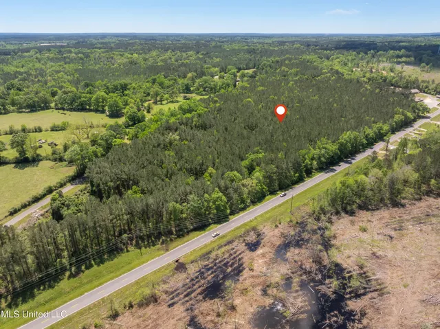 $200,000 | 42 Ms Highway, Petal, MS 39465