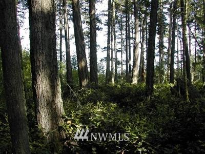 -xxx Channel Road Lopez Island, WA 98261 - Photo 1 of 1