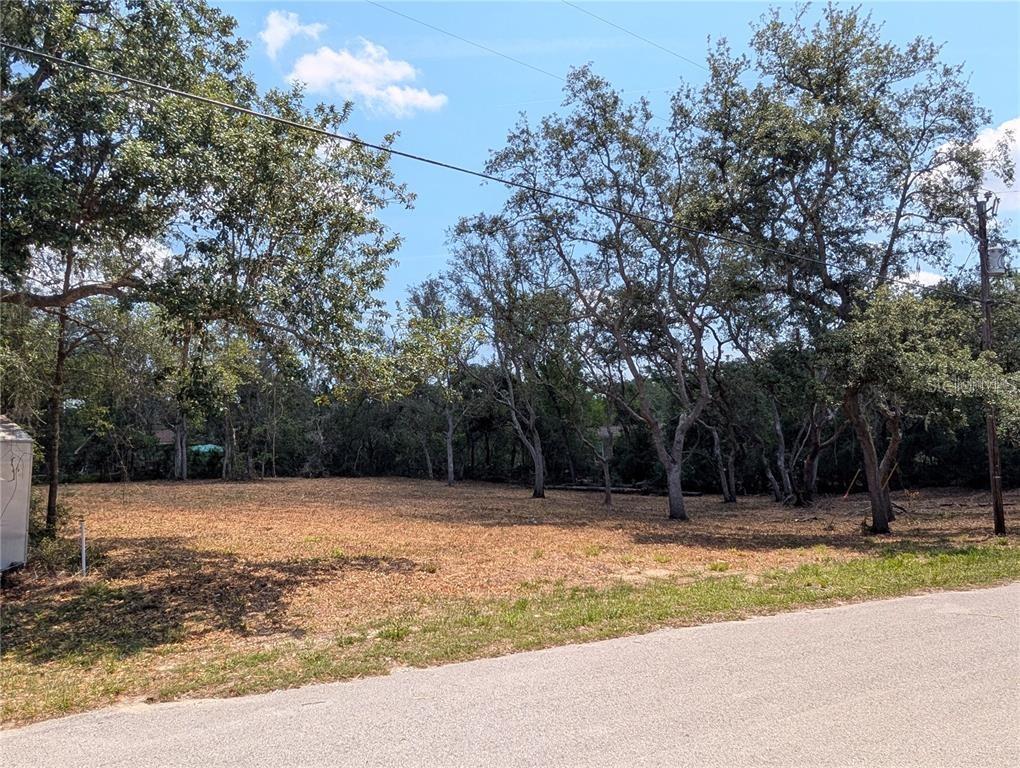 0 Merlin Circle Dade City, FL 33523 - Photo 7 of 8