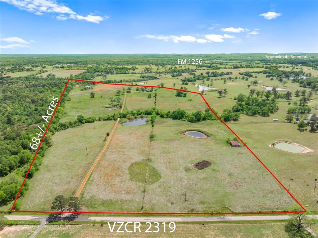 1421 VZ County Road Eustace, TX 75124 - Photo 3 of 40