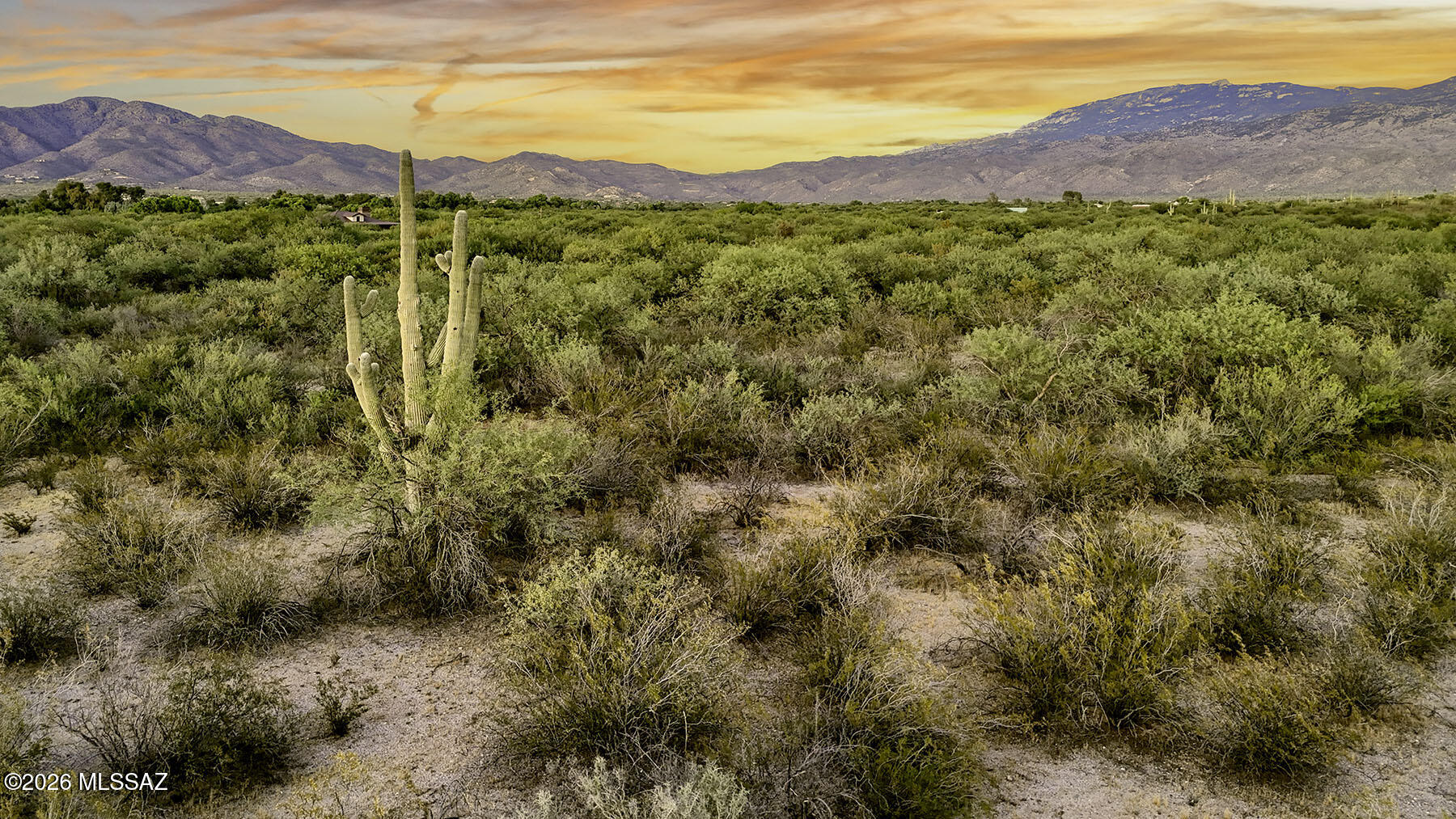 1242 North Freeman Road, Unit 5 ACRE Tucson, AZ 85749 - Photo 1 of 20 1242 N Freeman Road