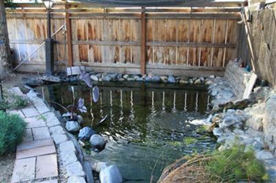 1763 North Hope Avenue Reedley, CA 93654 - Photo 23 of 26 Gallery Image 23