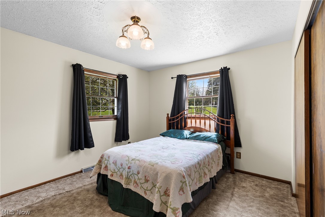71770 Chini Orchard Road Flushing, OH 43977 - Photo 19 of 39