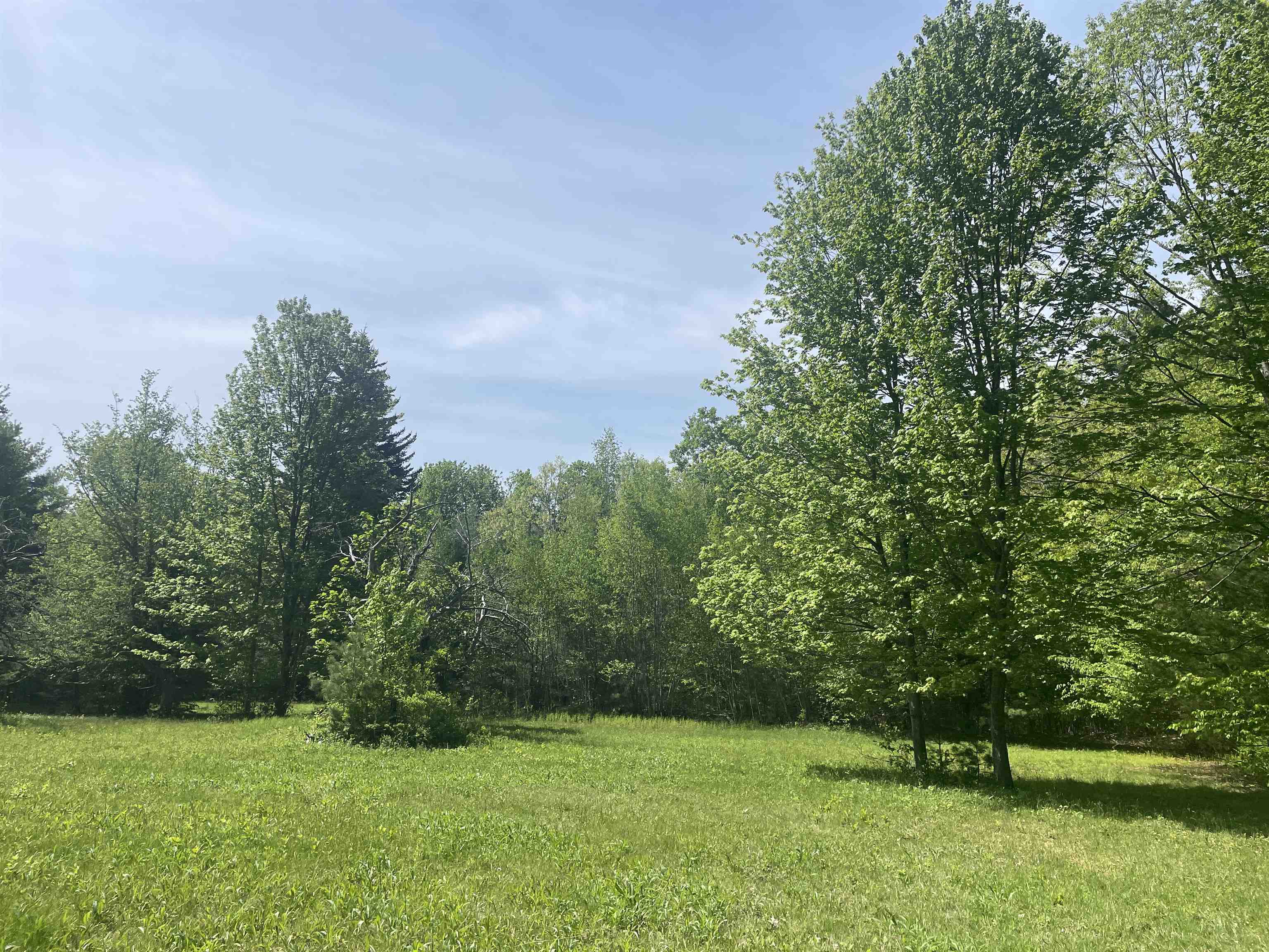 491 Whitneyville Road Halifax, VT 05358 - Photo 6 of 11