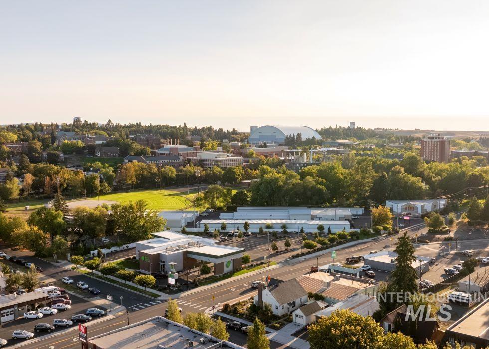 112 South Asbury Street Moscow, ID 83843 - Photo 25 of 26 Bird's eye view of a tree filled landscape