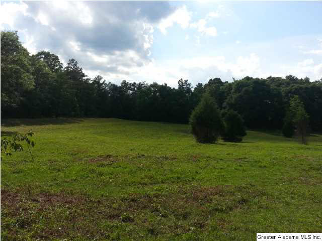 505 County Road, Unit 80 Marbury, AL 36051 - Photo 8 of 13