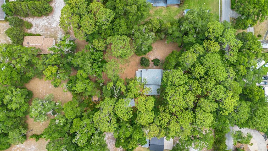 2545 Morgan Road DeLand, FL 32720 - Photo 34 of 34 Gallery Image 34