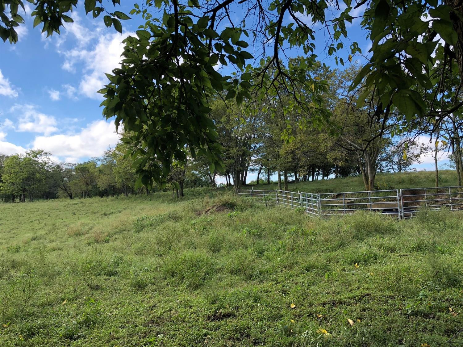 2000 Poosey Ridge Road Richmond, KY 40475 - Photo 4 of 51 Photo 4