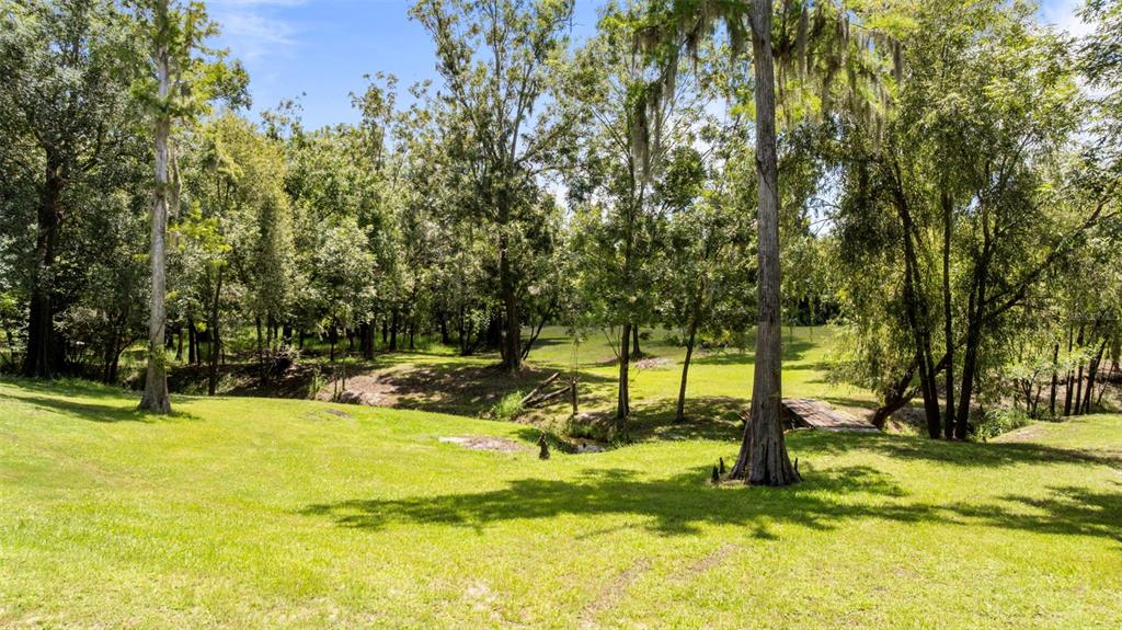 1183 Northwest Girl Scout Road Arcadia, FL 34266 - Photo 28 of 43 a view of swimming pool with trees