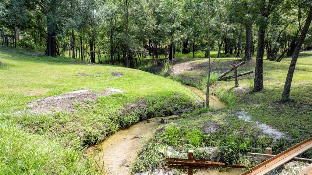 1183 Northwest Girl Scout Road Arcadia, FL 34266 - Photo 31 of 43 a view of a garden with a tree