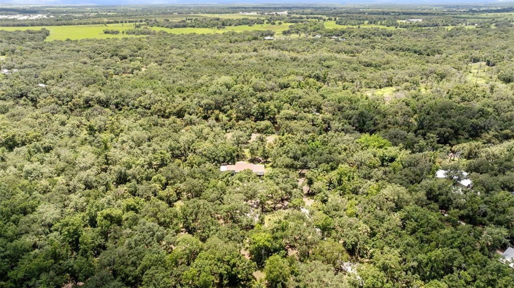 1183 Northwest Girl Scout Road Arcadia, FL 34266 - Photo 39 of 43 a view of a field