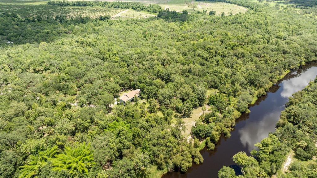 1183 Northwest Girl Scout Road Arcadia, FL 34266 - Photo 40 of 43 a view of a garden with a plant