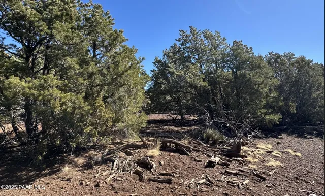 a view of a large yard with lots of bushes