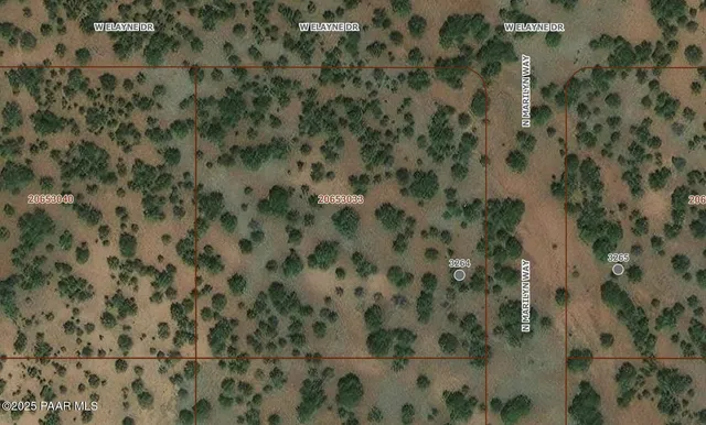 a view of a bunch of trees with a tree