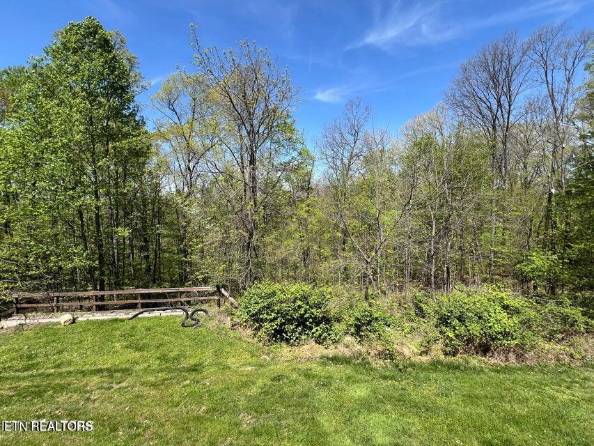 1631 Grave Hill Road Oneida, TN 37841 - Photo 19 of 36 20240424162306289146000000-o