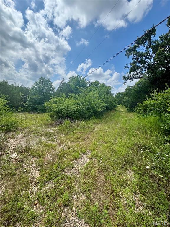 2669 Frederick Road Festus, MO 63028 - Photo 2 of 5