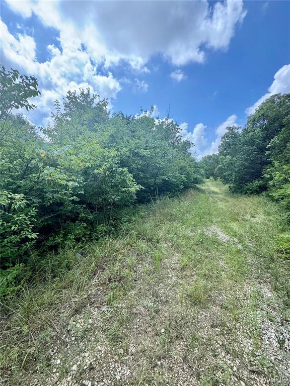 2669 Frederick Road Festus, MO 63028 - Photo 3 of 5