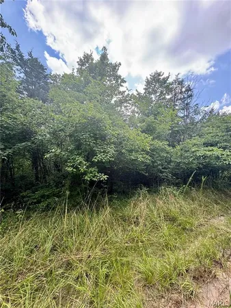 $14,000 | 2669 Frederick Road, Festus, MO 63028