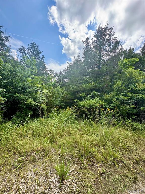 2669 Frederick Road Festus, MO 63028 - Photo 5 of 5