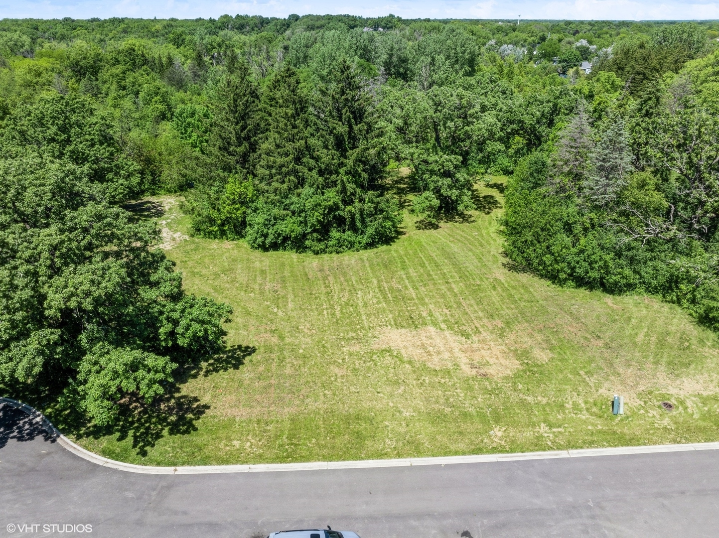 1146 Steeple View Drive Long Grove, IL 60047 - Photo 14 of 14 a picture of a yard with a tree