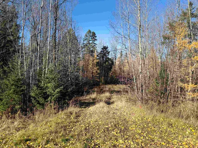 $69,000 | 6027 Co Hwy M, Winter, WI 54896