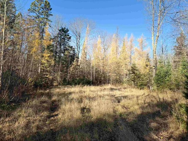 $69,000 | 6027 Co Hwy M, Winter, WI 54896