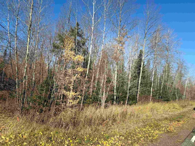 $69,000 | 6027 Co Hwy M, Winter, WI 54896