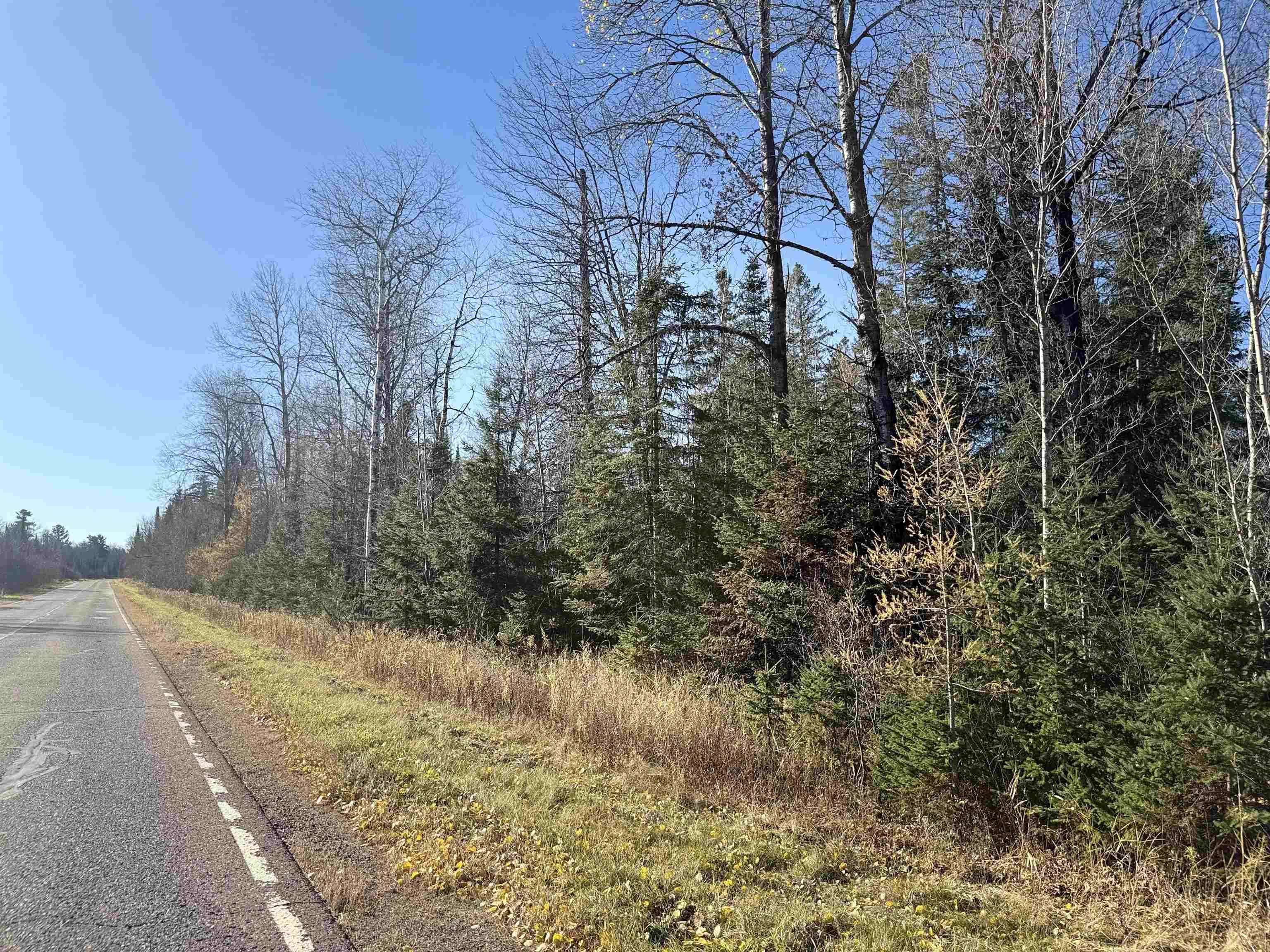 6027 Co Hwy M Winter, WI 54896 - Photo 5 of 6 View of asphalt street featuring a wooded view