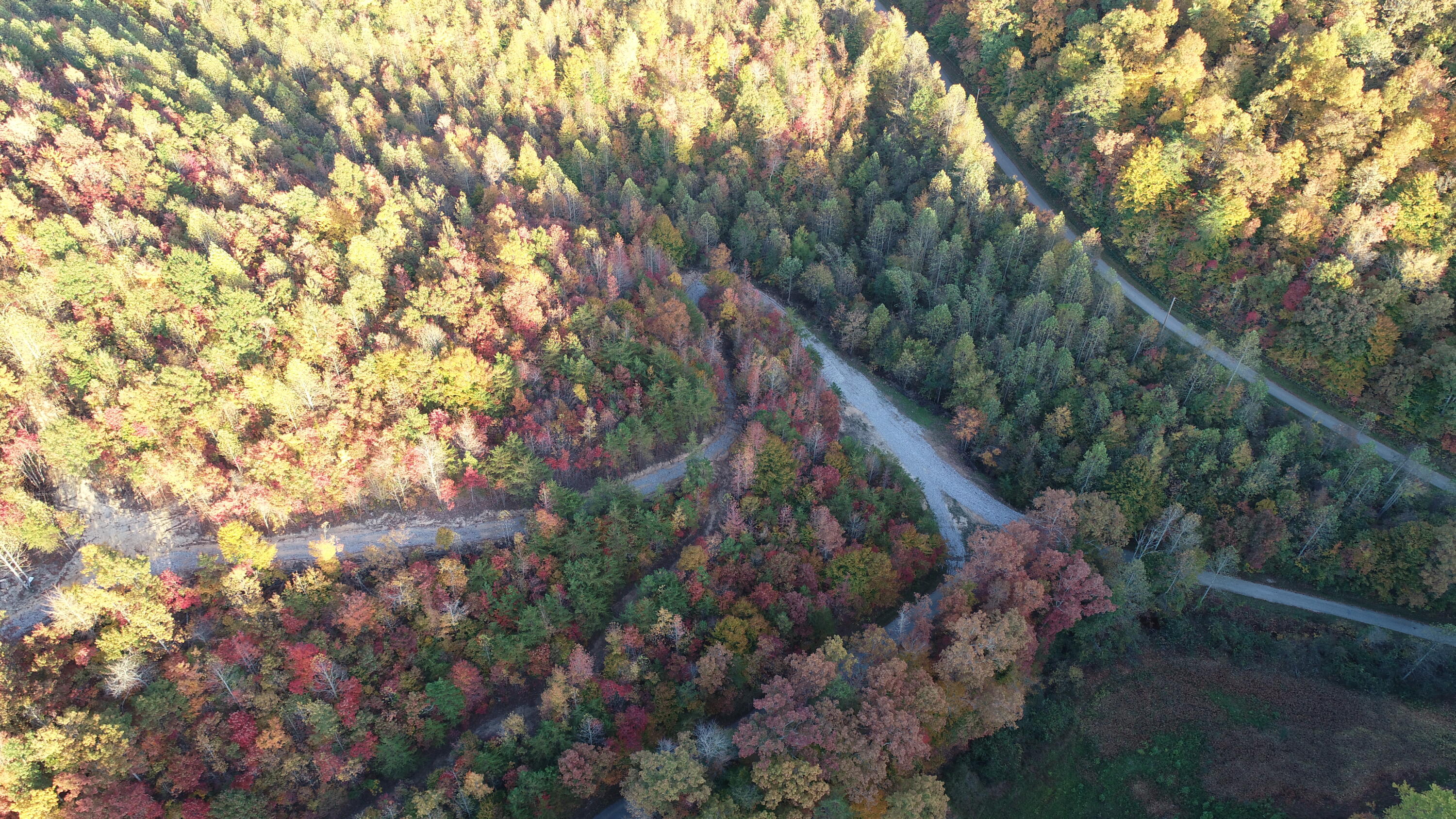 1111 Nineva Road London, KY 40741 - Photo 12 of 35 DJI_0498