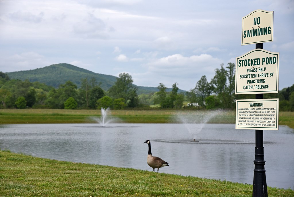 435 Golden Nugget Road Blairsville, GA 30512 - Photo 57 of 64