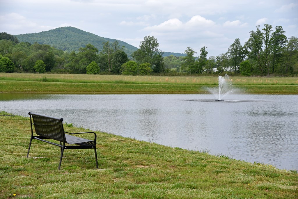 435 Golden Nugget Road Blairsville, GA 30512 - Photo 58 of 64