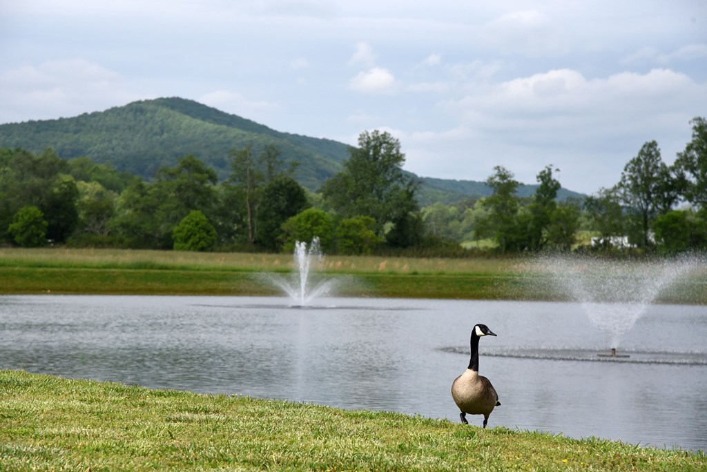 435 Golden Nugget Road Blairsville, GA 30512 - Photo 60 of 64
