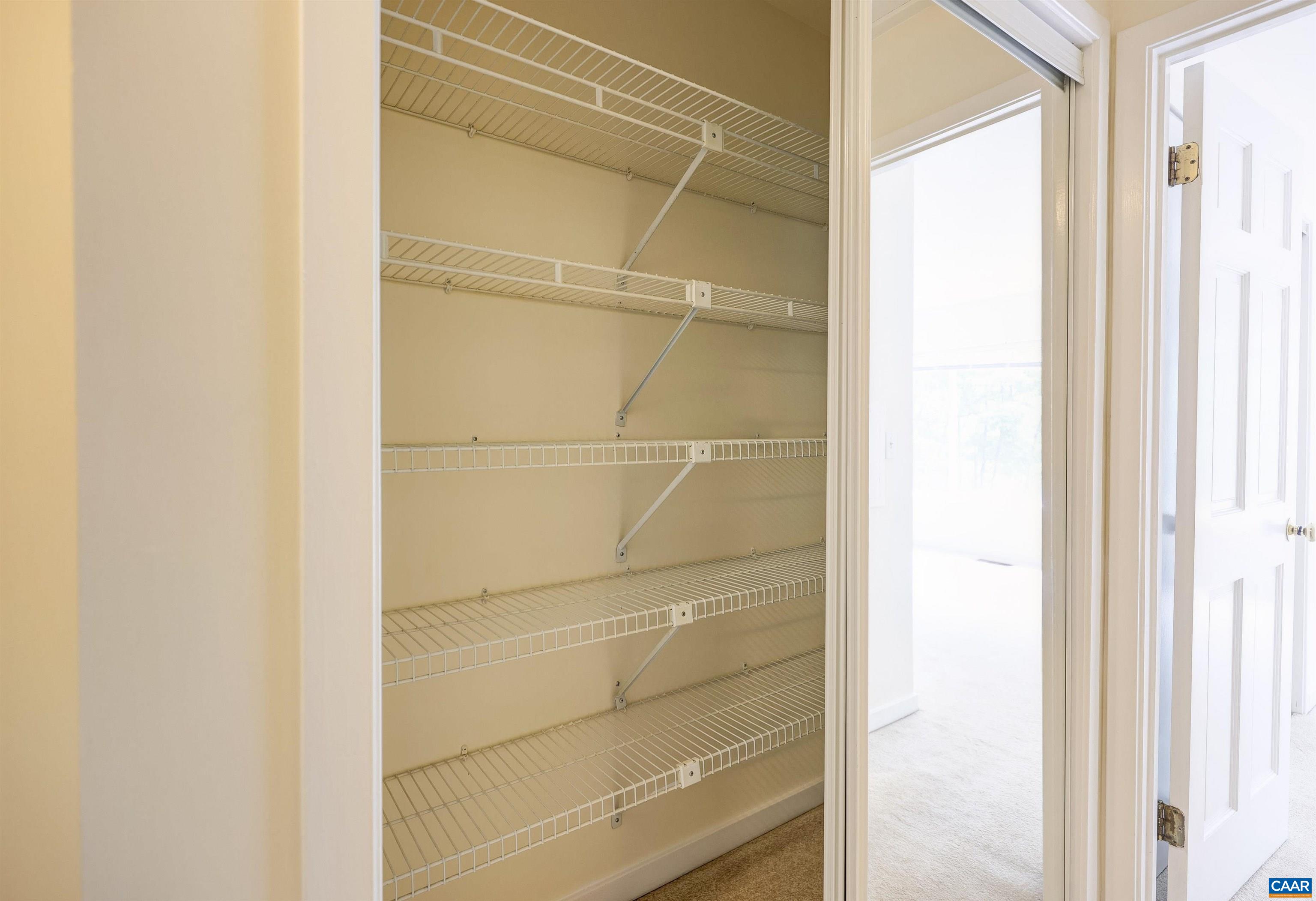 1296 Maple View Drive Charlottesville, VA 22902 - Photo 19 of 35 a empty closet with white paint