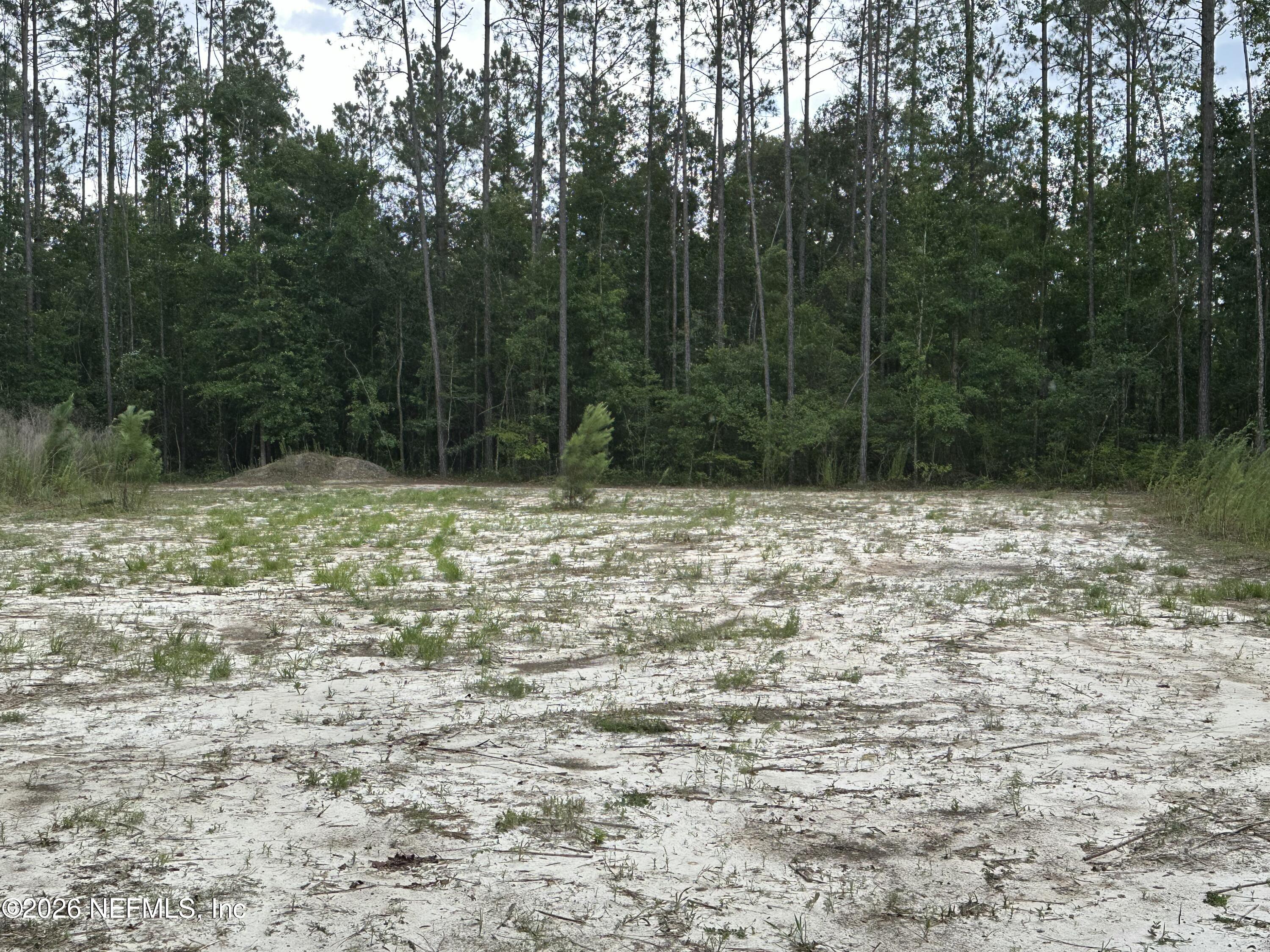15422 Bullock Bluff Road Bryceville, FL 32009 - Photo 16 of 23 a outdoor space covered with trees