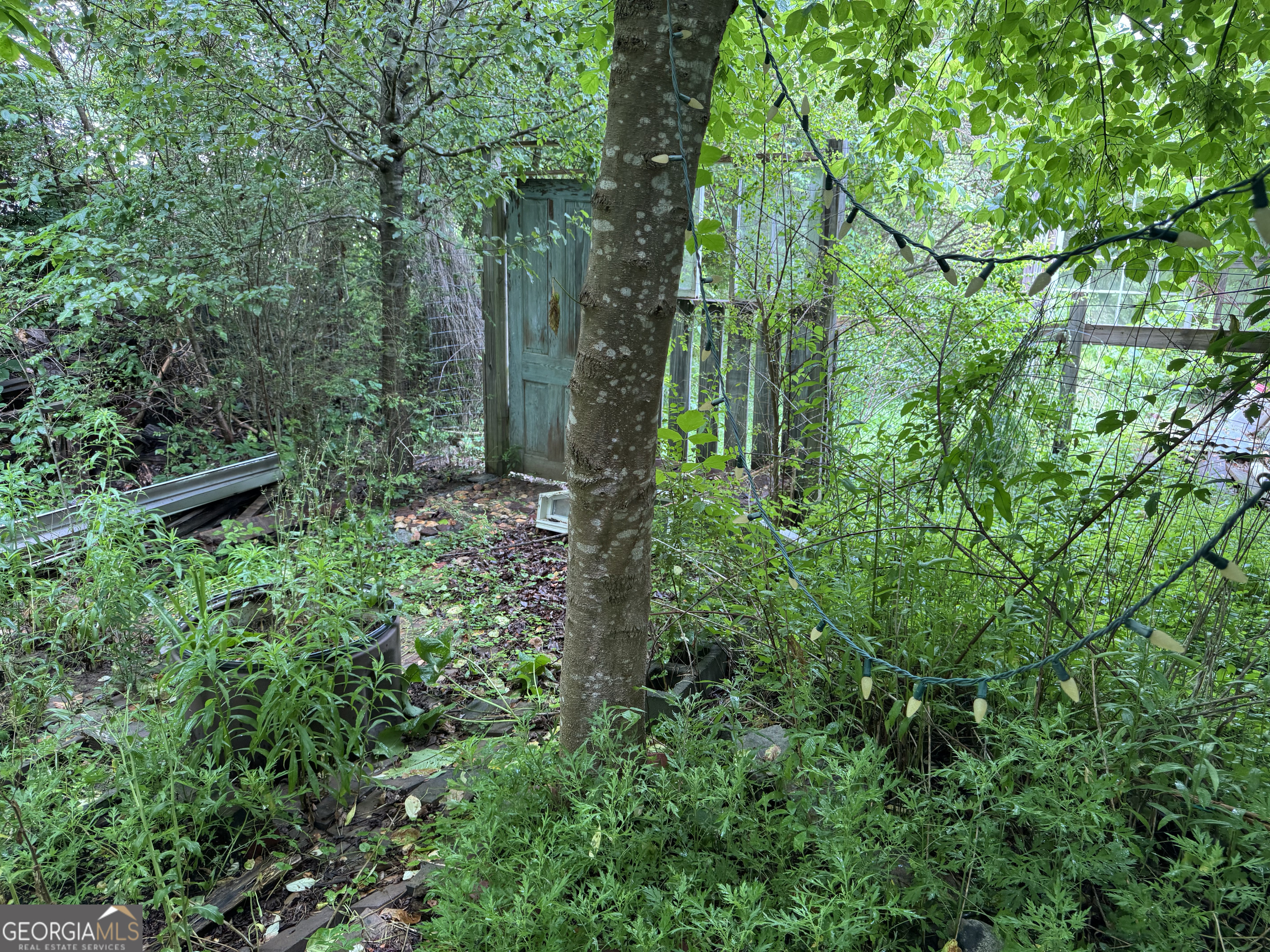 9122 Blue Ridge Highway Blairsville, GA 30512 - Photo 3 of 42 a view of outdoor space and garden