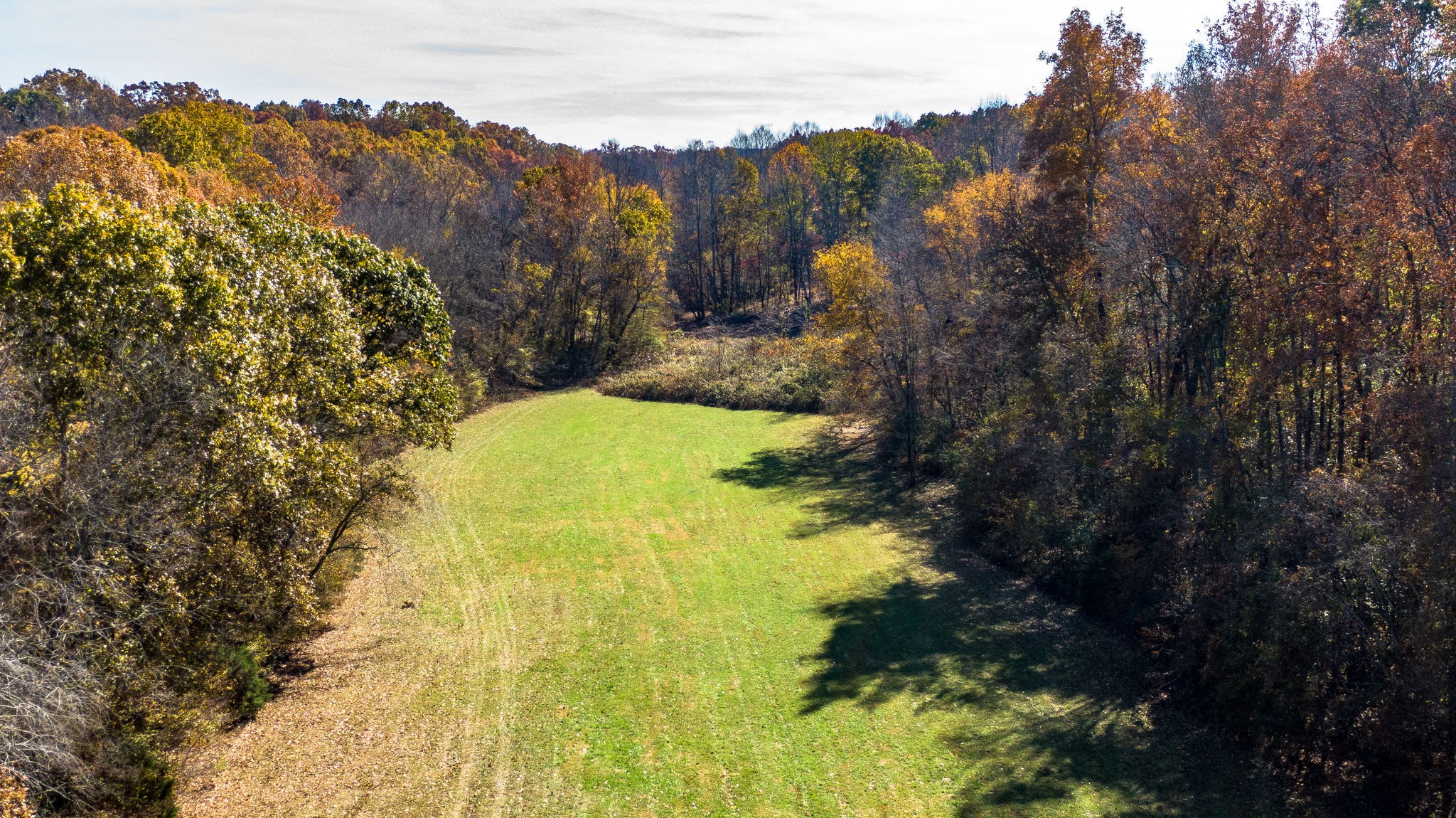 0 Mangrum Rd/spencer Mill Road Bon Aqua, TN 37025 - Photo 1 of 29 Gallery Image 1