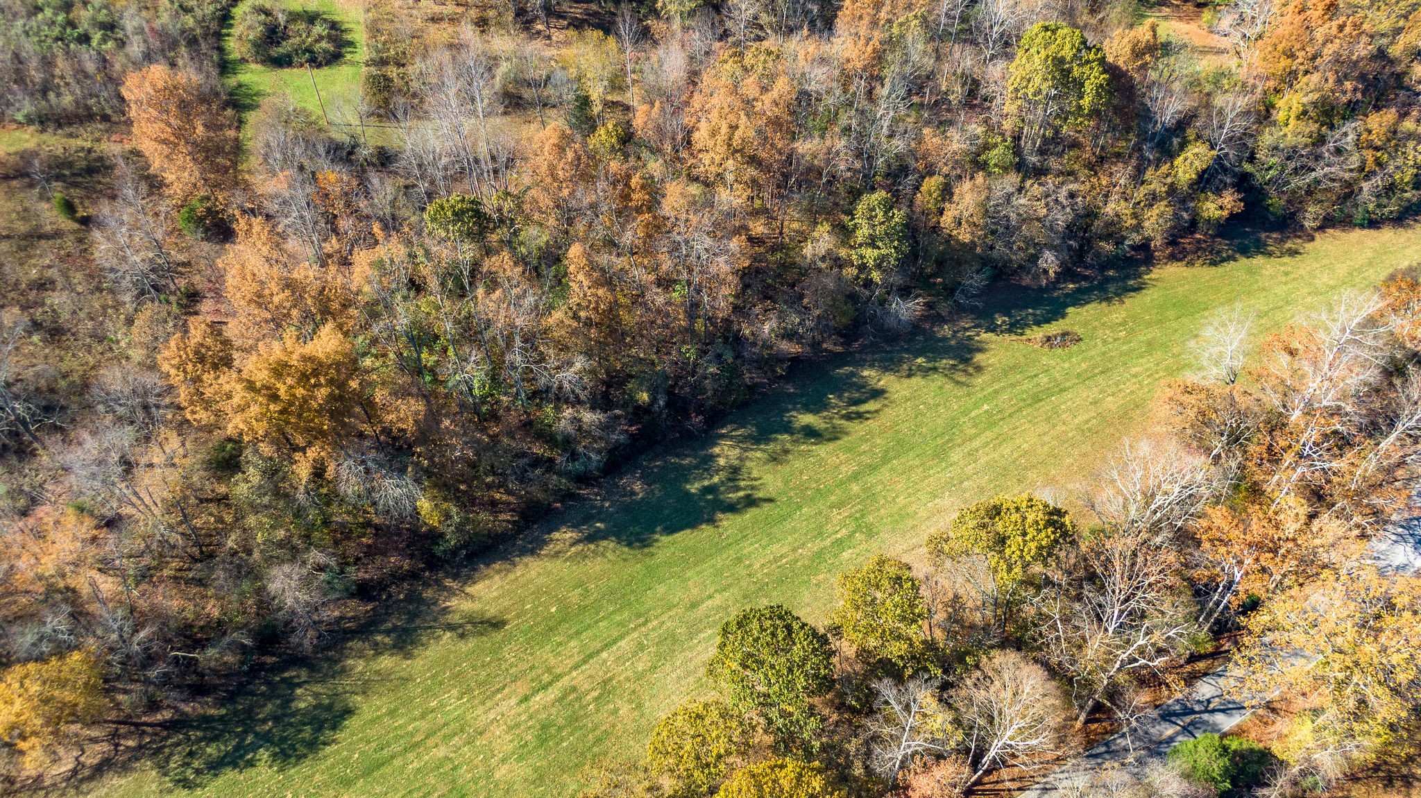0 Mangrum Rd/spencer Mill Road Bon Aqua, TN 37025 - Photo 12 of 29 Gallery Image 12