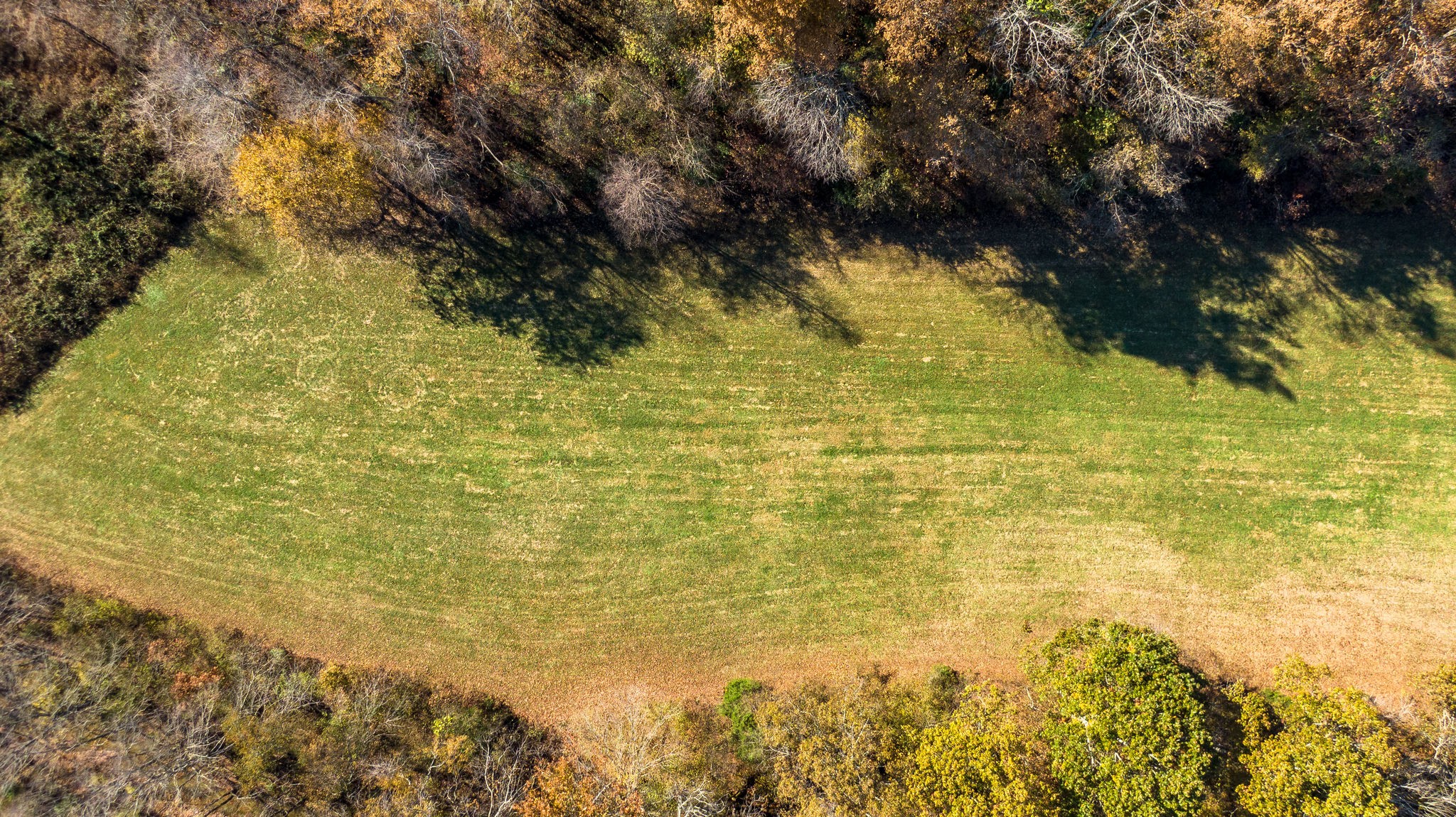 0 Mangrum Rd/spencer Mill Road Bon Aqua, TN 37025 - Photo 17 of 29 Gallery Image 17