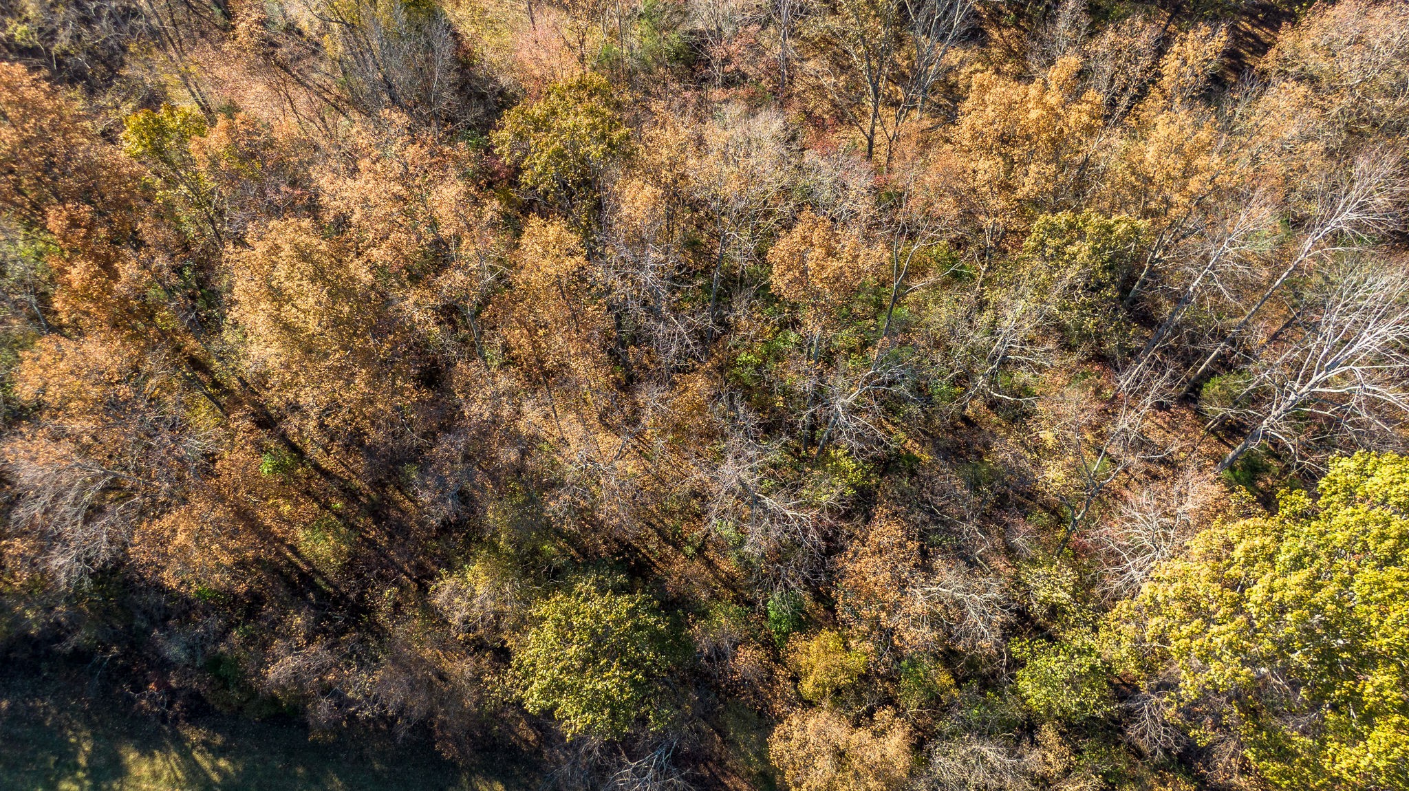 0 Mangrum Rd/spencer Mill Road Bon Aqua, TN 37025 - Photo 21 of 29 Gallery Image 21